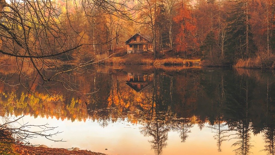 Sommerhus i skov og ved vand om efteråret